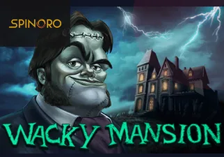 Wacky Mansion